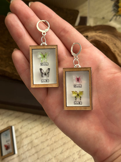 Framed Butterfly Earrings