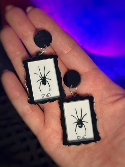 Framed Realistic Spider Earrings